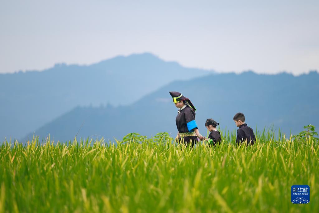 大奖网票官方网站